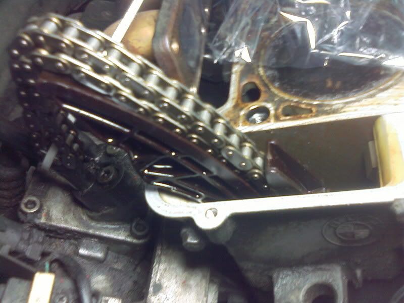 M52 timing chain guide